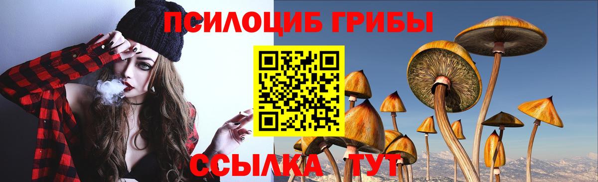 Галлюциногенные грибы ЛСД  купить   Сланцы  Вход с VPN 